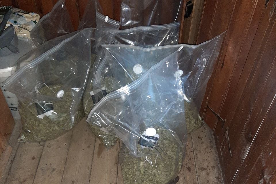 Cannabis factory found in Blackwatertown. Credit: PSNI