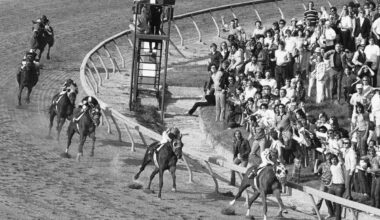 The 150th Preakness is the last at old Pimlico before demolition. Winners share their top memories