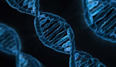 TN to open genetic disorder centres in Coimbatore, Madurai