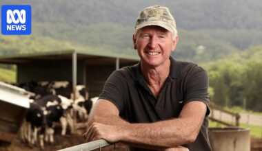World-first genetic index helps Aussie farmers breed heat tolerant cows