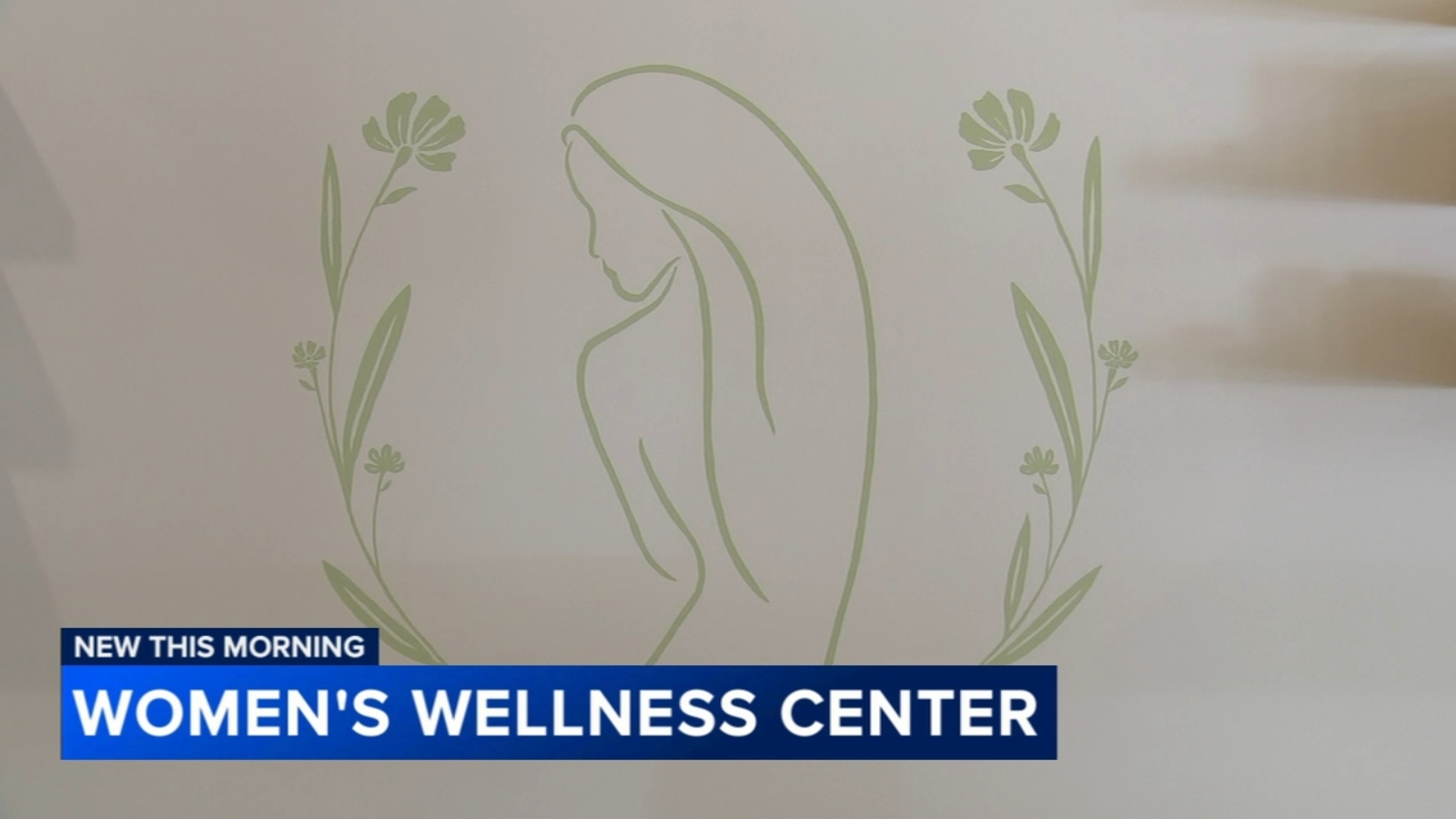 New Women's Wellness Center offering holistic approach to healing the body
