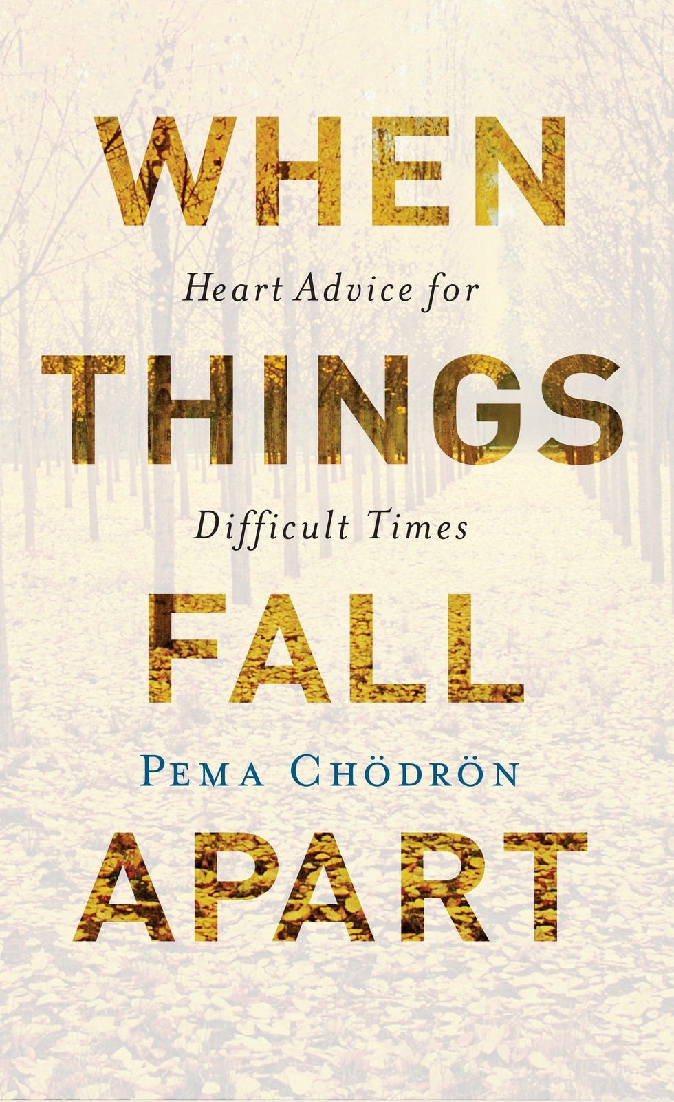 <i>When Things Fall Apart: Heart Advice for Difficult Times</i> by Pema Chödrön