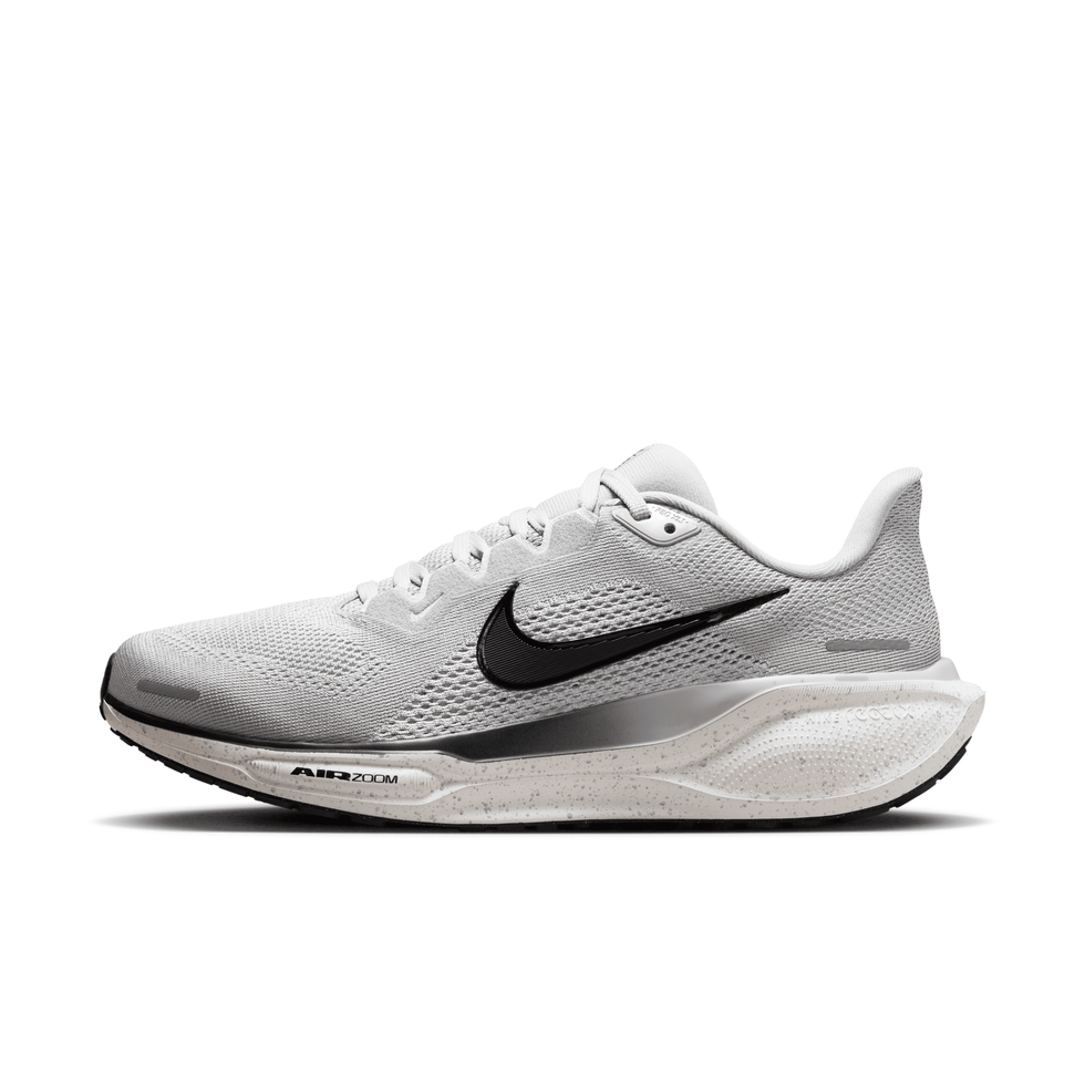 Pegasus 41 