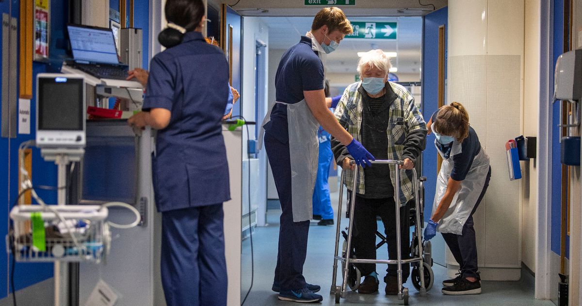 Workers may be unknowingly spreading 'deadly hospital superbugs' with common habit