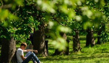 39 counties in England at risk of 'power cuts' in 29C UK heatwave