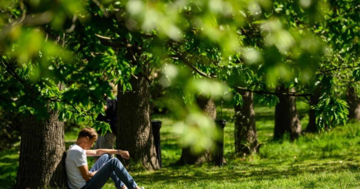 39 counties in England at risk of 'power cuts' in 29C UK heatwave