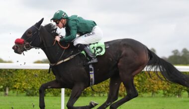 Tyson Fury's horse backed at Chelmsford in Starform racing guide with Redcar and Ayr tips
