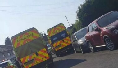 Two boys, 2 and 3, seriously injured in dog attack