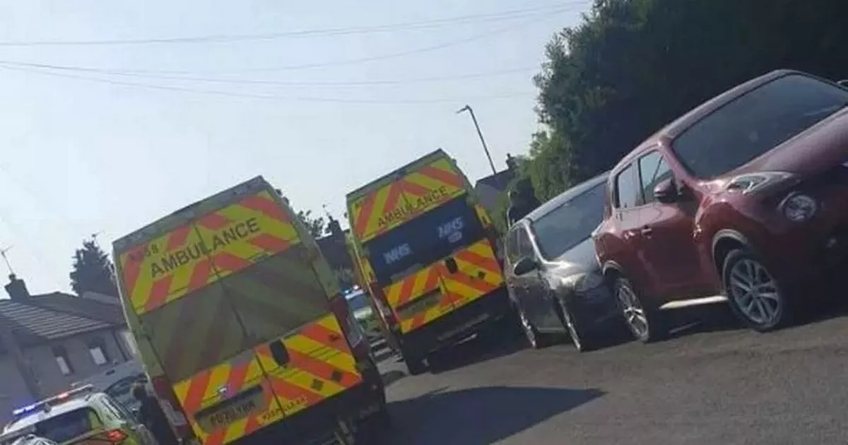 Two boys, 2 and 3, seriously injured in dog attack