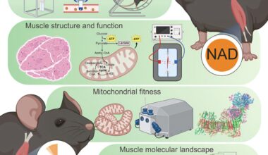 Time to trash your supplements? Low levels of NAD⁺ may not drive aging