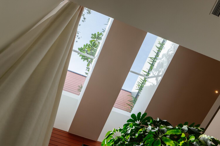 In-Between House / Super Assembly - Interior Photography, Wood, Glass