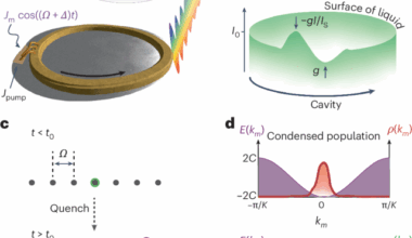 Collective quench dynamics of active photonic lattices in synthetic dimensions