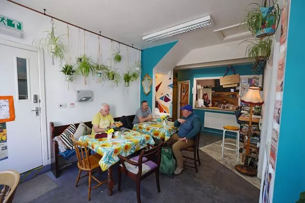 Indigo is described as a visual insight to the owner's brain