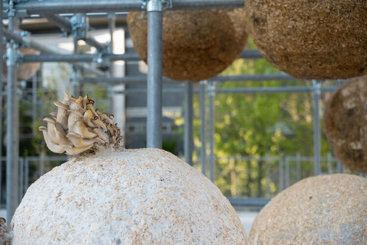Growing Matter(s) Pavilion / Henning Larson Architects - Image 8 of 19