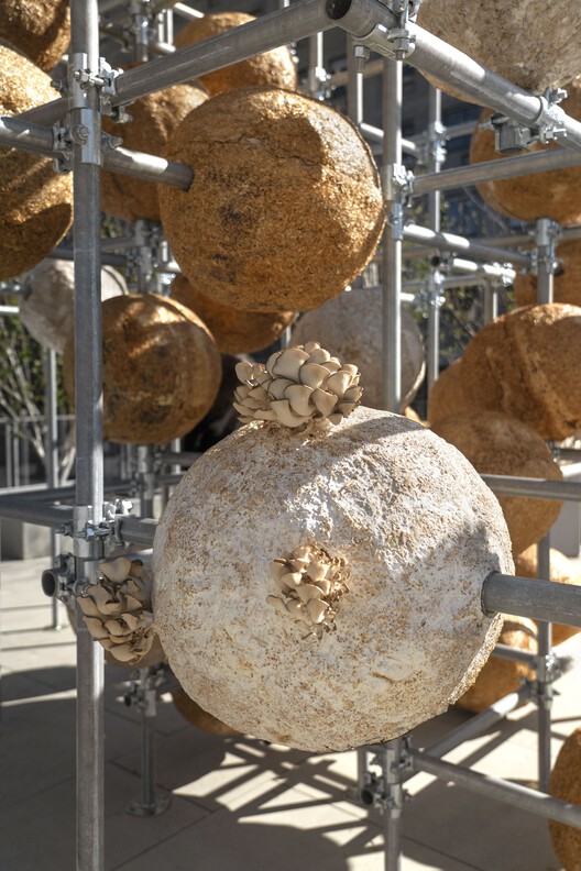 Growing Matter(s) Pavilion / Henning Larson Architects - Image 4 of 19