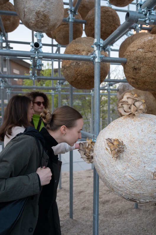 Growing Matter(s) Pavilion / Henning Larson Architects - Image 5 of 19
