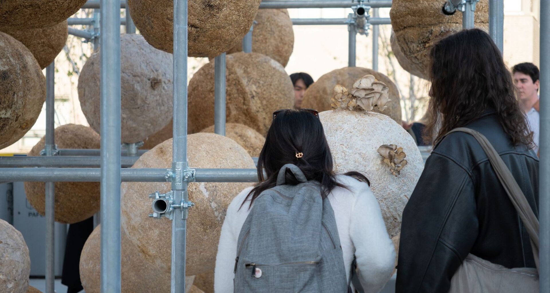 Growing Matter(s) Pavilion / Henning Larson Architects