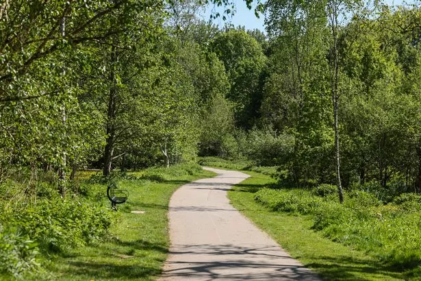 Fletcher Moss park in Didsbury