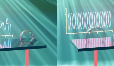 Microbubble dynamics in boiling water enable precision fluid manipulation
