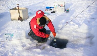 Loss of sea ice alters the colors of light in the ocean