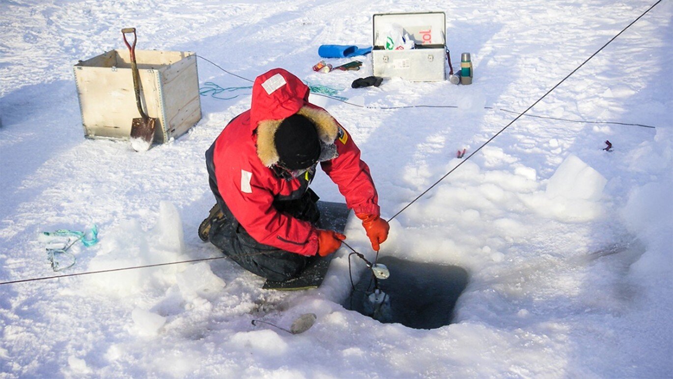 Loss of sea ice alters the colors of light in the ocean
