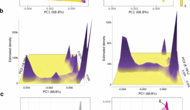 Genetic ancestry and population structure in the All of Us Research Program cohort