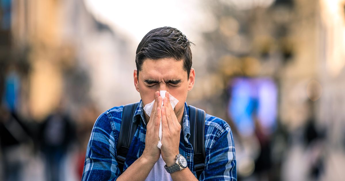 Pharmacist warns hayfever sufferers not to take everyday medication due to dementia risk