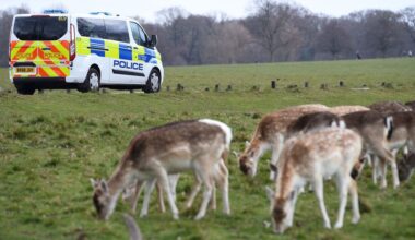 Specialist police force disbanded after 150 years as Met move to plug £260m funding gap