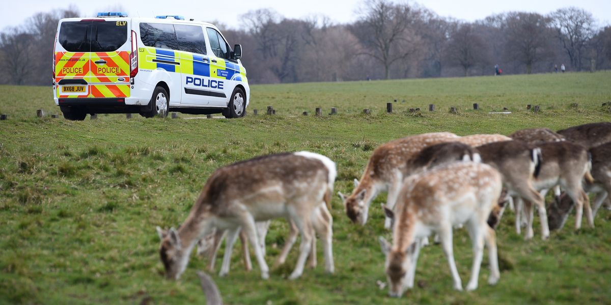 Specialist police force disbanded after 150 years as Met move to plug £260m funding gap