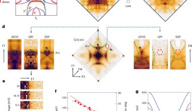 Research sheds light on future applications in spintronics and valleytronics