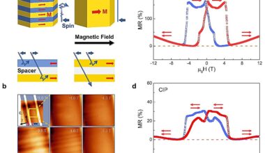 Kagome quantum magnets achieve spin-valve effects without complex material stacking