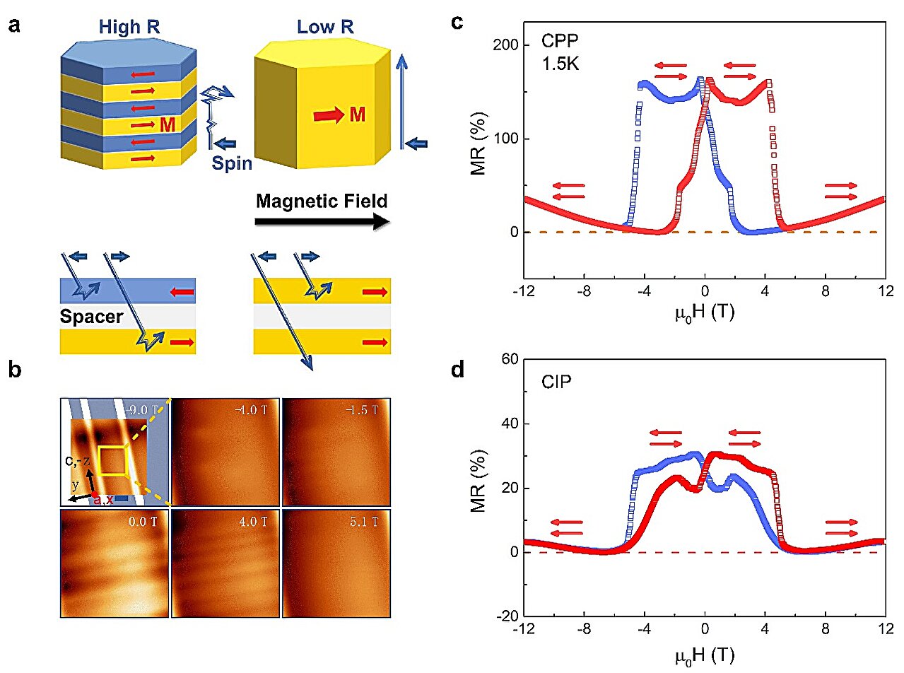 Kagome quantum magnets achieve spin-valve effects without complex material stacking