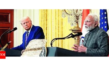 US likely to push for tariff cuts, regulatory changes in trade deal with India: GTRI