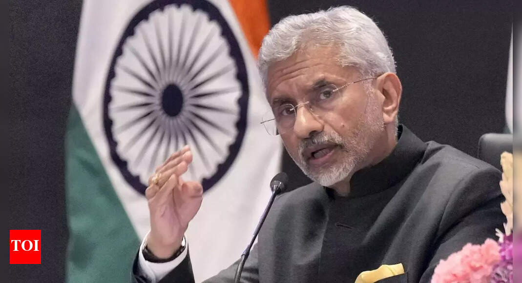 'India needs partners, not preachers': Jaishankar once again tears into EU | India News