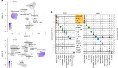 Human subcutaneous and visceral adipocyte atlases uncover classical and nonclassical adipocytes and depot-specific patterns