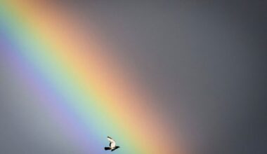 EU mulls nature credits to help biodiversity