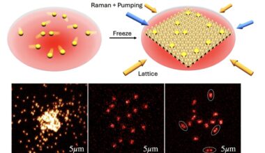 Physicists snap the first images of 'free-range' atoms