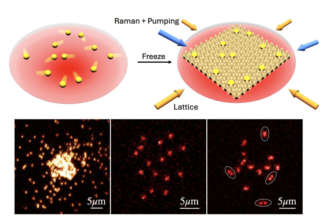 Physicists snap the first images of 'free-range' atoms