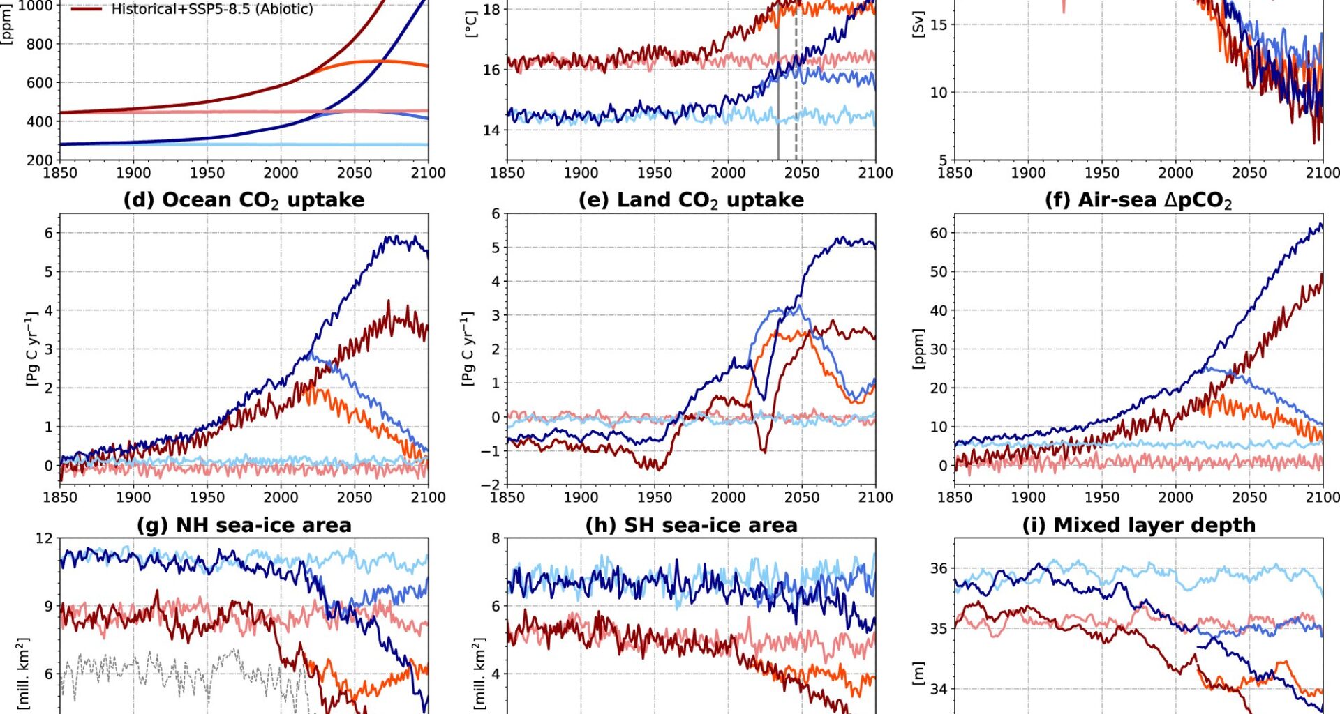 An ocean without life will absorb less carbon emissions and accelerate climate change