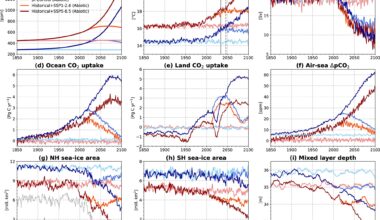 An ocean without life will absorb less carbon emissions and accelerate climate change