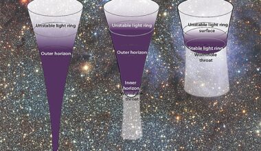 Alternative black hole models suggest quantum effects may erase need for singularities