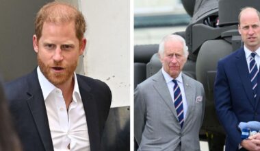 Harry's 3-Word Remark in BBC Interview Could Spell Trouble for Charles and William