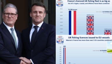 Emmanuel Macron's cunning five-day plot to bind Brexit Britain in chains as payback looms