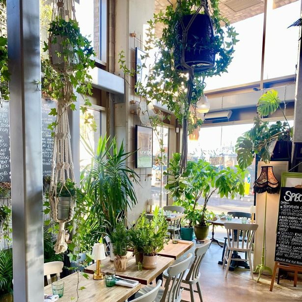 Street Urchin opened six years ago and has been recognised by top food critics