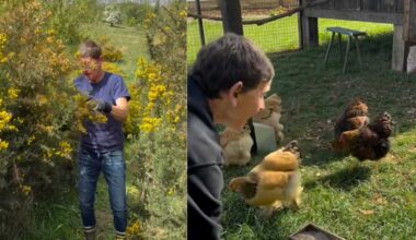 Ellen DeGeneres has shared a glimpse into her farm life following her move to the UK.