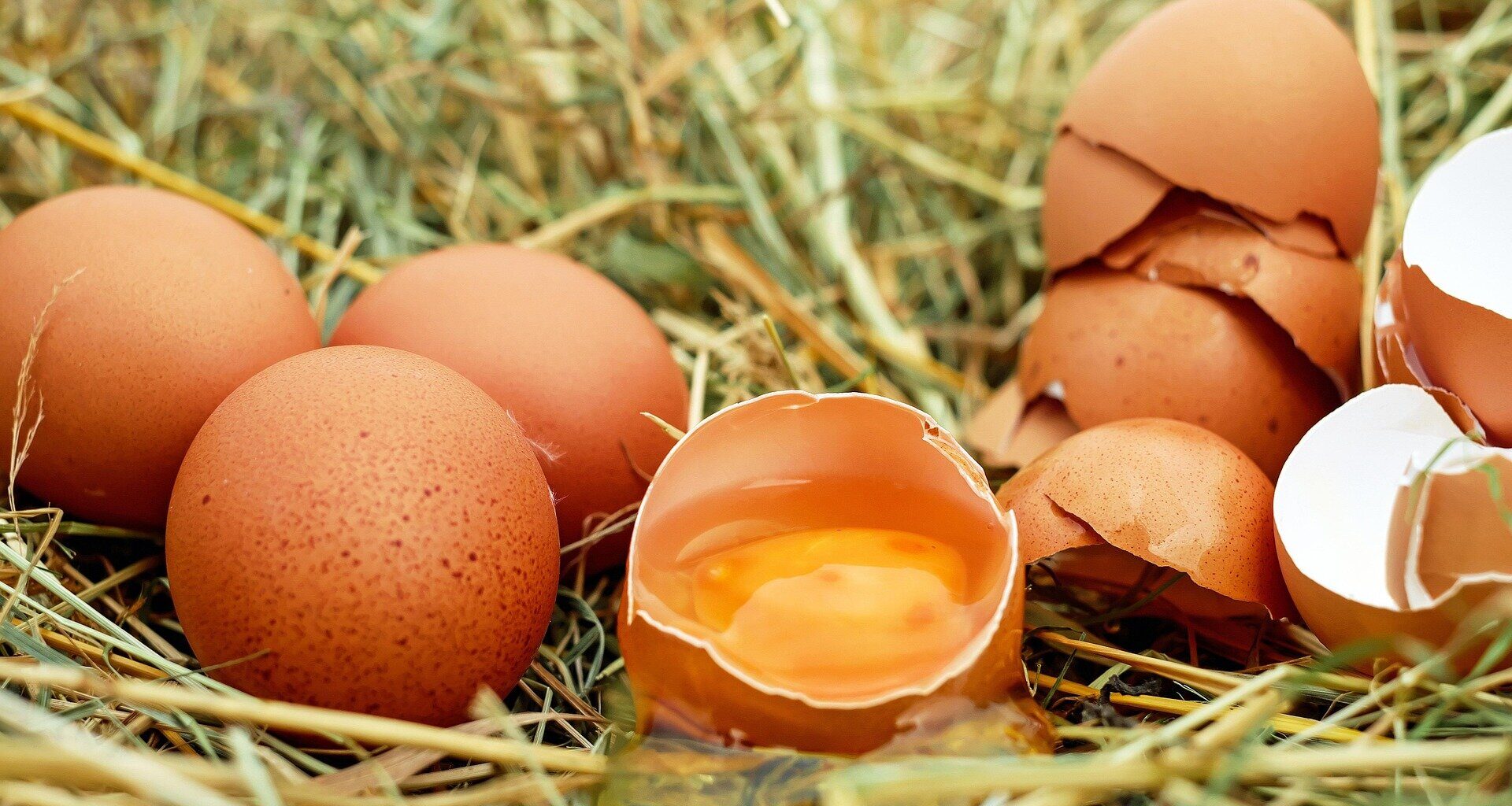 Eggs less likely to crack when dropped side-on, research reveals