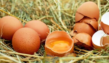 Eggs less likely to crack when dropped side-on, research reveals