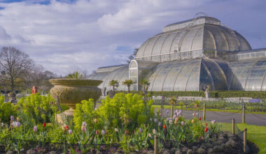 The 10 Best Gardens in London, According to the Telegraph