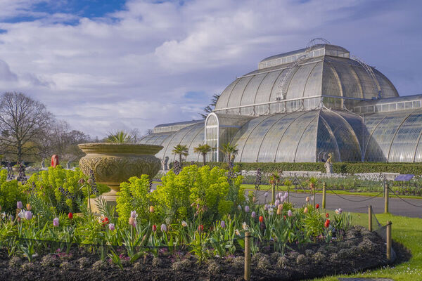 The 10 Best Gardens in London, According to the Telegraph