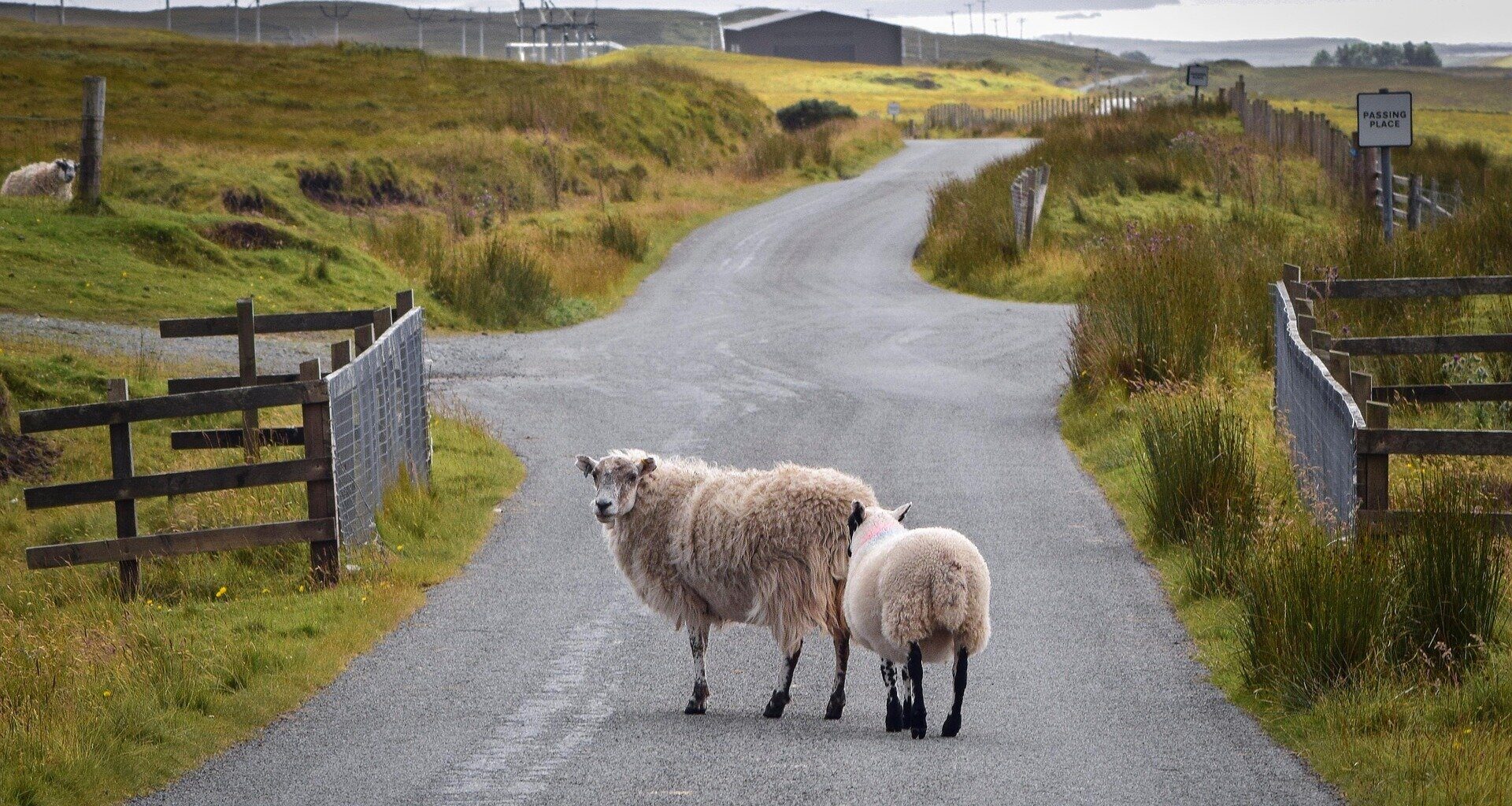 Study reveals severe post-Brexit reduction in lending to small and medium-sized enterprises in rural areas of UK